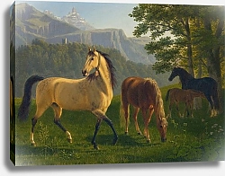 Постер Бидерманн Йоханн Лошади на Земле В пейзаже