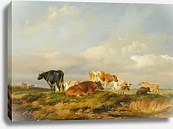 Постер Купер Томас Сидни Крупный рогатый скот На Кентском Лугу