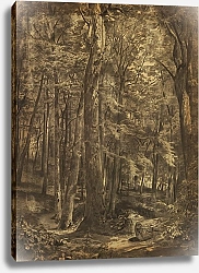 Постер Ричардс Уильям In The Woods