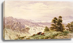 Постер Галли Джон Пейзаж [Равнины Ваймеа, Нельсон]