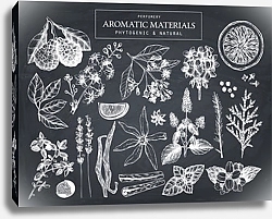Постер Collection of hand drawn perfumery materials