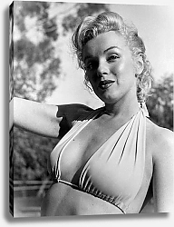 Постер Monroe, Marilyn 19