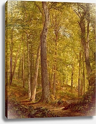 Постер Ричардс Уильям June Woods, Pennsylvania, 1864
