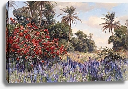 Постер Макко Георг Südliche Landschaft mit Lavendel