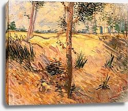 Постер Ван Гог Винсент (Vincent Van Gogh) Деревья в поле солнечным днем