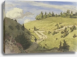 Постер Тома Ханс Пейзаж в Шварцвальде