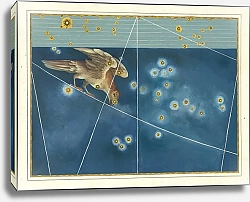 Постер Байер Иоганн Corvus