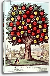 Постер Курье Н. The Tree of Temperance, 1872