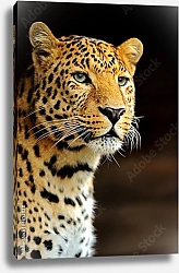 Постер Леопард 10