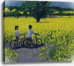 Постер Макара Эндрю (совр) Yellow Field, Kedleston, Derby