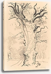 Постер Чолковский Леон Oak. About Rogalin