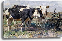 Постер Зюгеь Генрих Коровы В Поле