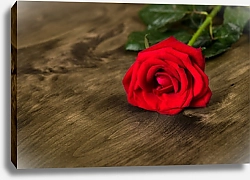 Постер Красная роза на деревянной поверхности