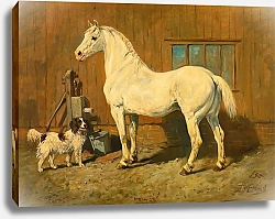 Постер Эммс Джон Принц И Застреленный