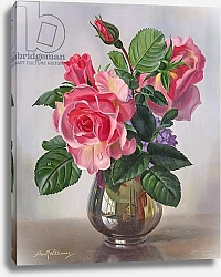Постер Уильямс Альберт (совр) AB/289 Lady Sylvia Roses in a Silver Vase