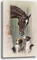 Постер Райхерт Карл Посещение конюшни