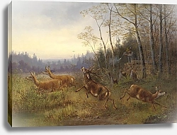 Постер Мюллер Моритц Охота на оленей