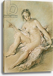 Постер Буше Франсуа (Francois Boucher) A study of Venus, 1751