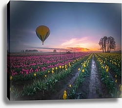 Постер Воздушные шары, парящие над полем тюльпанов