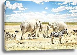 Постер Группа африканских животных на водопое