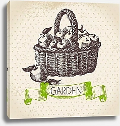 Постер Иллюстрация с корзиной яблок