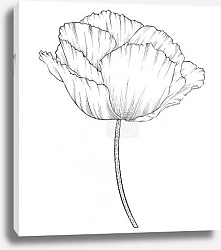 Постер Танец лепестков