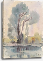 Постер Палугяй Золо River Cove