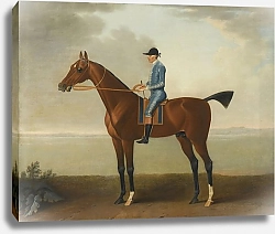 Постер Уоттон Джон Лошадь леди О'Брайен с поднятым жокеем