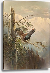 Постер Мюллер Моритц Ухаживающий тетерев