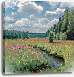Постер Жуковский Станислав Summer Meadow, Pobojka