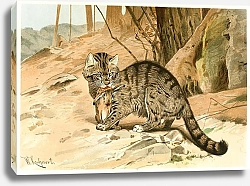 Постер Кухнерт Уильям Wild Cat