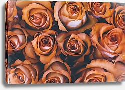 Постер Фон из оранжевых роз
