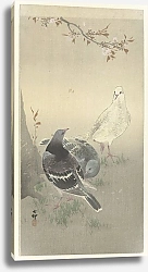 Постер Косон Охара Three tame pigeons