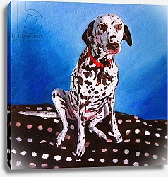 Постер Уайт Хелен Dalmatian on spotty cushion, 2011,