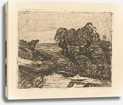 Постер Цварт Виллем Wilgen aan een sloot