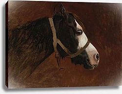 Постер Жером Жан Леон Profile Of A Horse