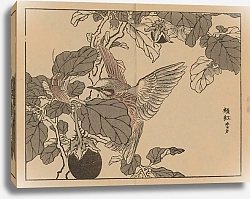 Постер Байрей Коно Байрей гафу, пл. 38