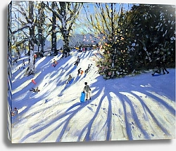Постер Макара Эндрю (совр) Early snow, Darley Park