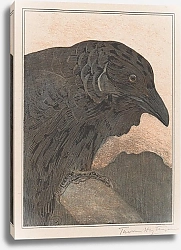 Постер Хойтема Тео Ворона