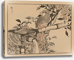 Постер Байрей Коно Байрей гафу, пл.49