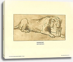 Постер Rembrandt Lion Drinking 1