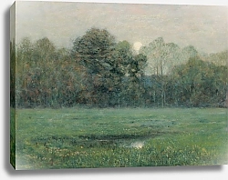 Постер Трайон Дуайт Midsummer Moonrise