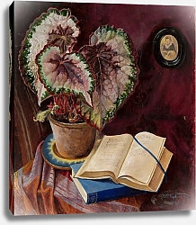 Постер Усович Рафал Begonia and books