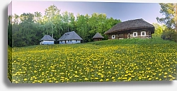Постер Деревянные дома на поле одуванчиков 2