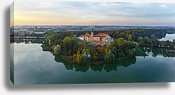 Постер Беларусь. Несвижский замок с птичьего полета №3