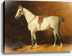 Постер Волкерс Эмиль Оседланный Серый в конюшне