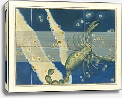 Постер Байер Иоганн Scorpio