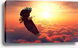 Постер Орел в облаках