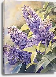 Постер Memory of the lilac May