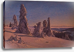 Постер Дишлер Герман Frozen Fir Trees on the Feldberg